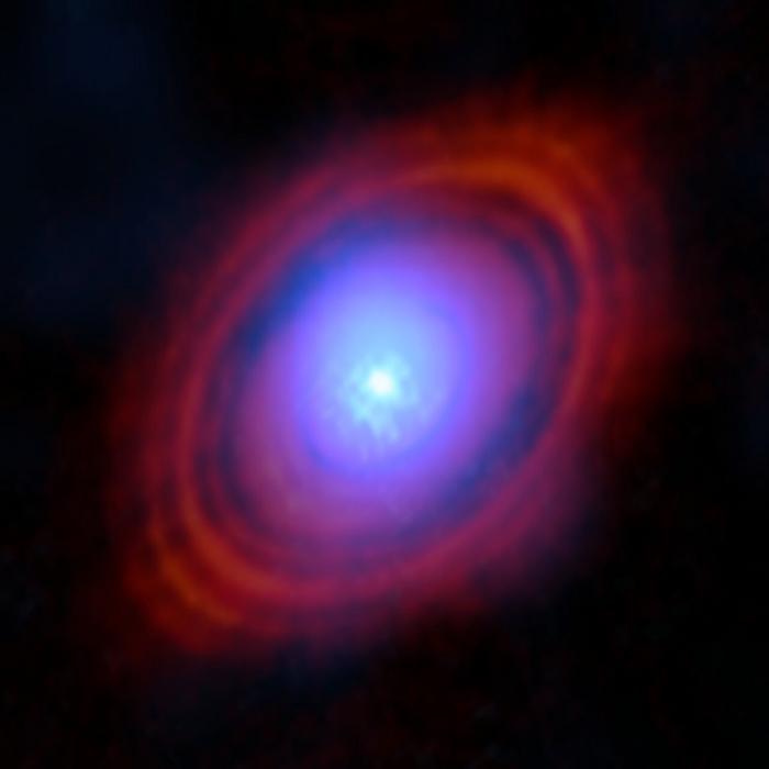 Water in the HL Tauri disc
