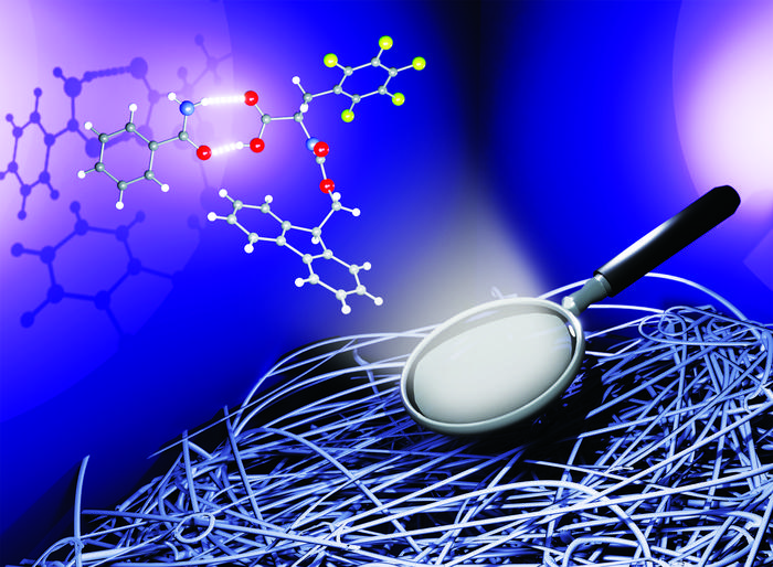 The supramolecular interaction between the amino acid Fmoc-pentafluoro-phenylalanine and the partner molecule led to the formation of a crystal complex in the solid state