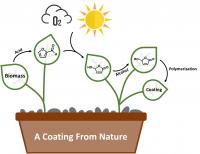 Green chemistry creates coatings from nature