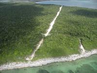 Aerial View of Dense, Broadleaf Seasonally Dry Forest