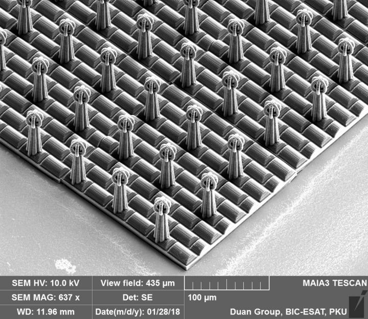 3D printed artificial Salvinia surface, a biomimetic artificial surface with super water repellent capability.
