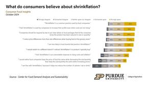 Consumers beliefs about shrinkflation