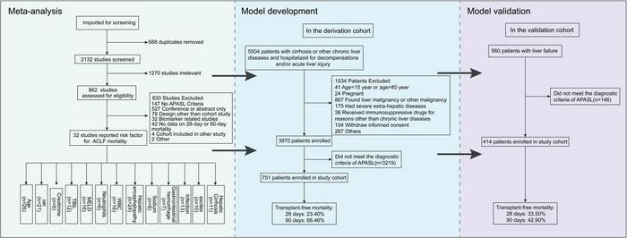 Flow chart of study selection.