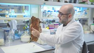 Dr. David Caparrós-Ruiz in his laboratory at CRAG