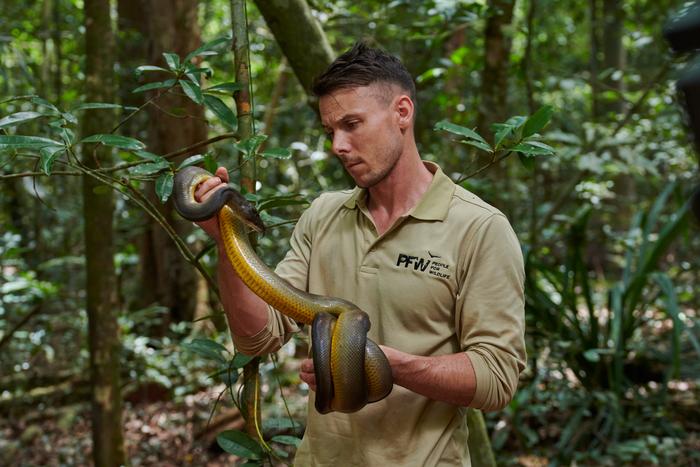 Munchy Python: There are 39 sp [IMAGE] | EurekAlert! Science News Releases