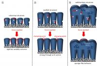 シリコン膜の堆積段階と機械的強度