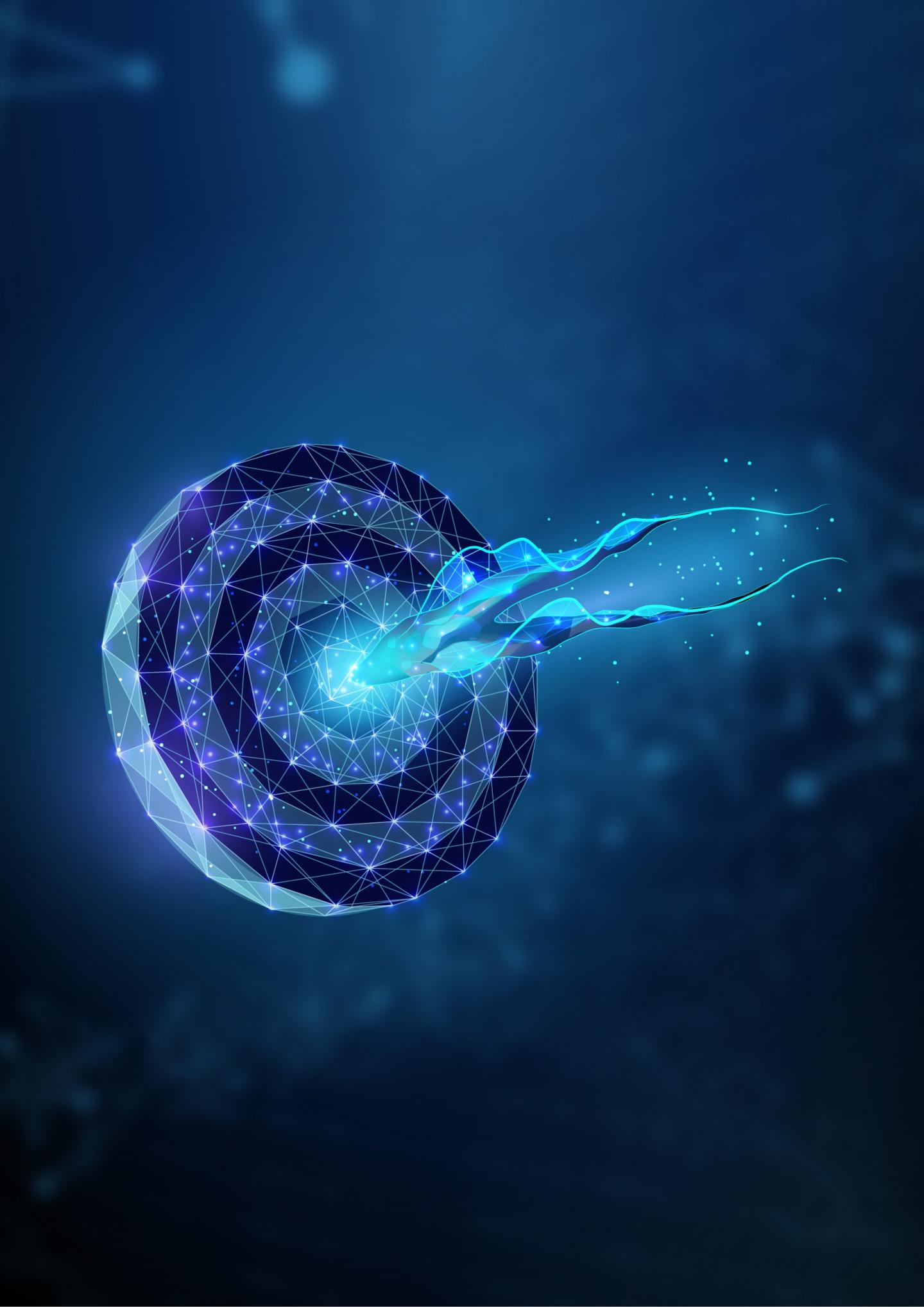 Targeting the Trypanosoma brucei cell cycle