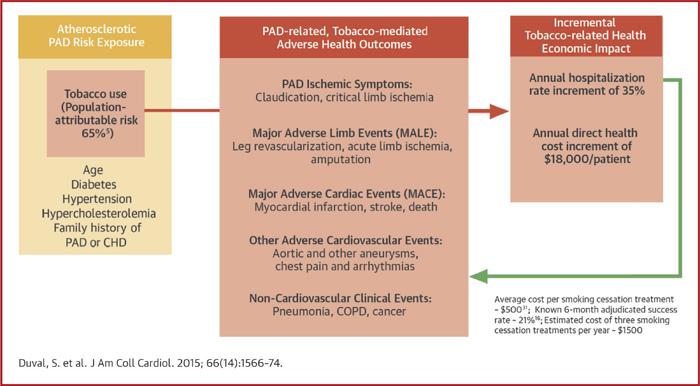 Impact of Tobacco on PAD Clinical Events and Cost: The Price of Inaction