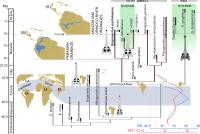 13-Million-Year-Old 'Storyteller' Crocodylian Fossils Reveal Evidence for Parallel Evolution (2/2)
