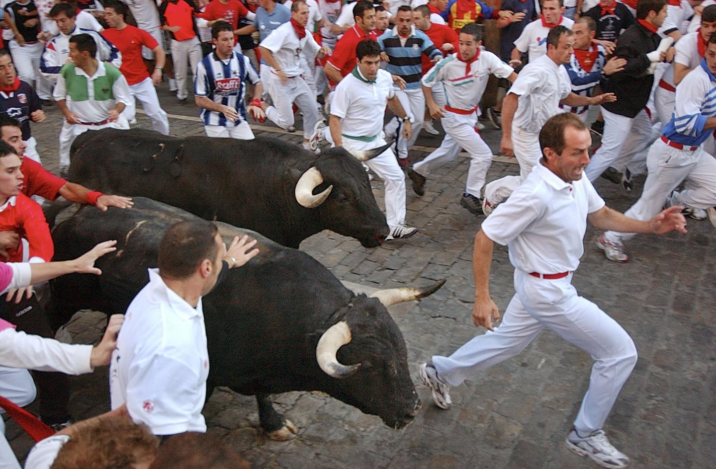 Bull Running