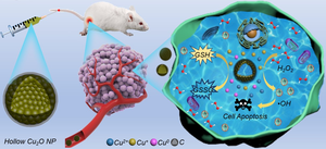 "Nanocapsules" Provide New Solution For Efficient Cancer Chemodynamic Therapy