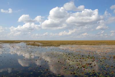 Everglades