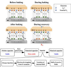 Mechanism of ferroelectric imprint in Hf0.5Zr0.5O2 (HZO) thin films using standard TiN electrodes.