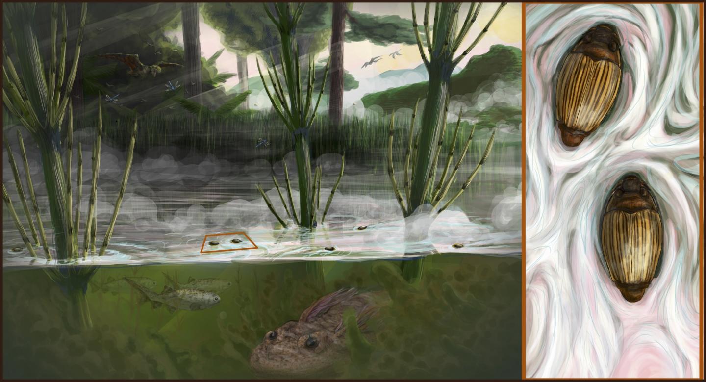 Late Jurassic Habitat Reconstruction