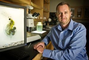 Matthew Walsh, University of Texas at Arlington