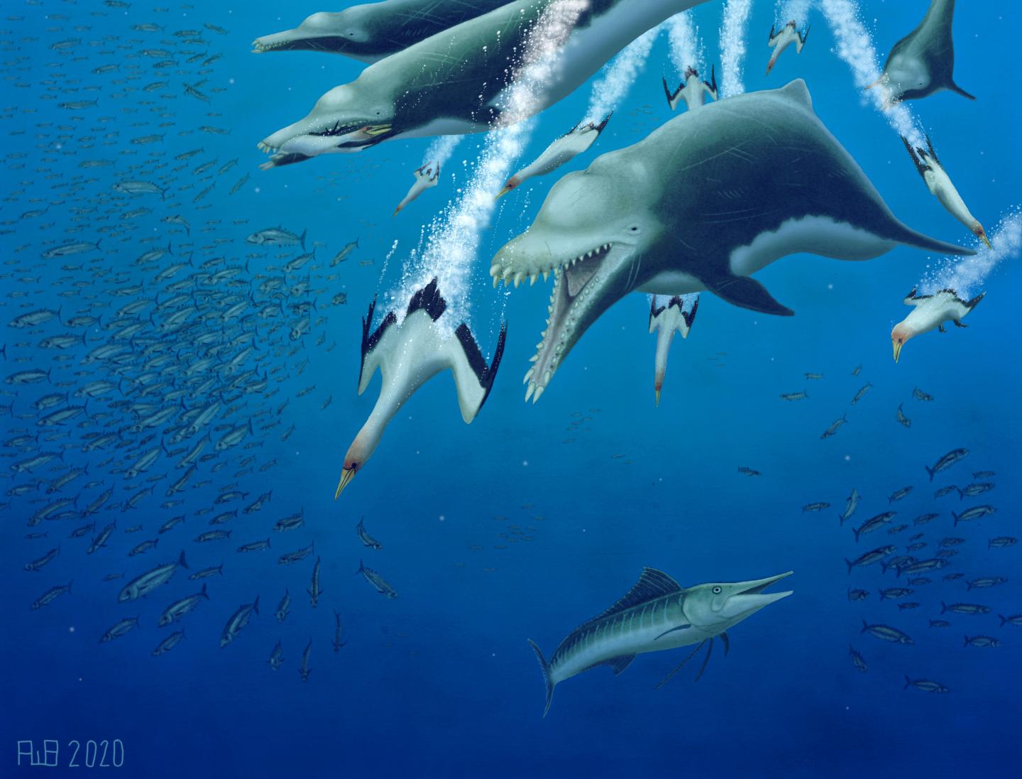 Pod of Extinct Giant Dolphins