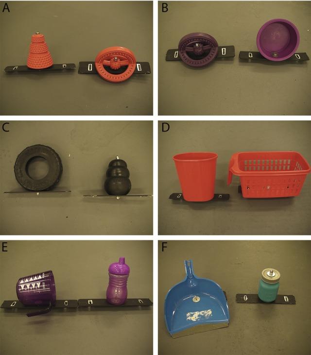 Toys Used in the Study