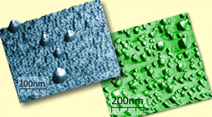 Microscopic Images of the Europium Silicide Nanoislands on the Silicon Surface