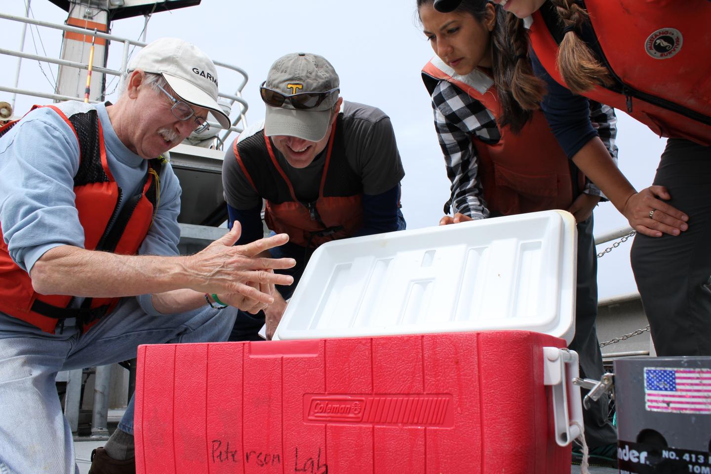 Newport Line Research