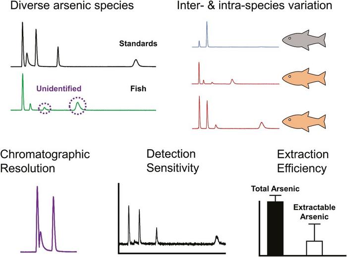 Graphical Abstract