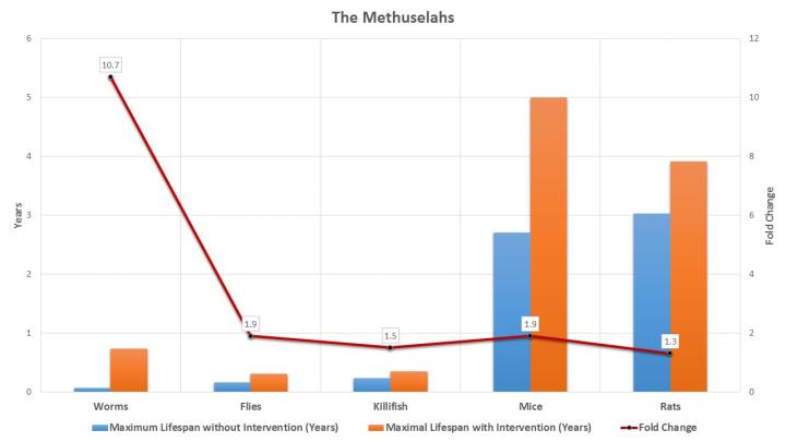 The Methuselahs in Lab