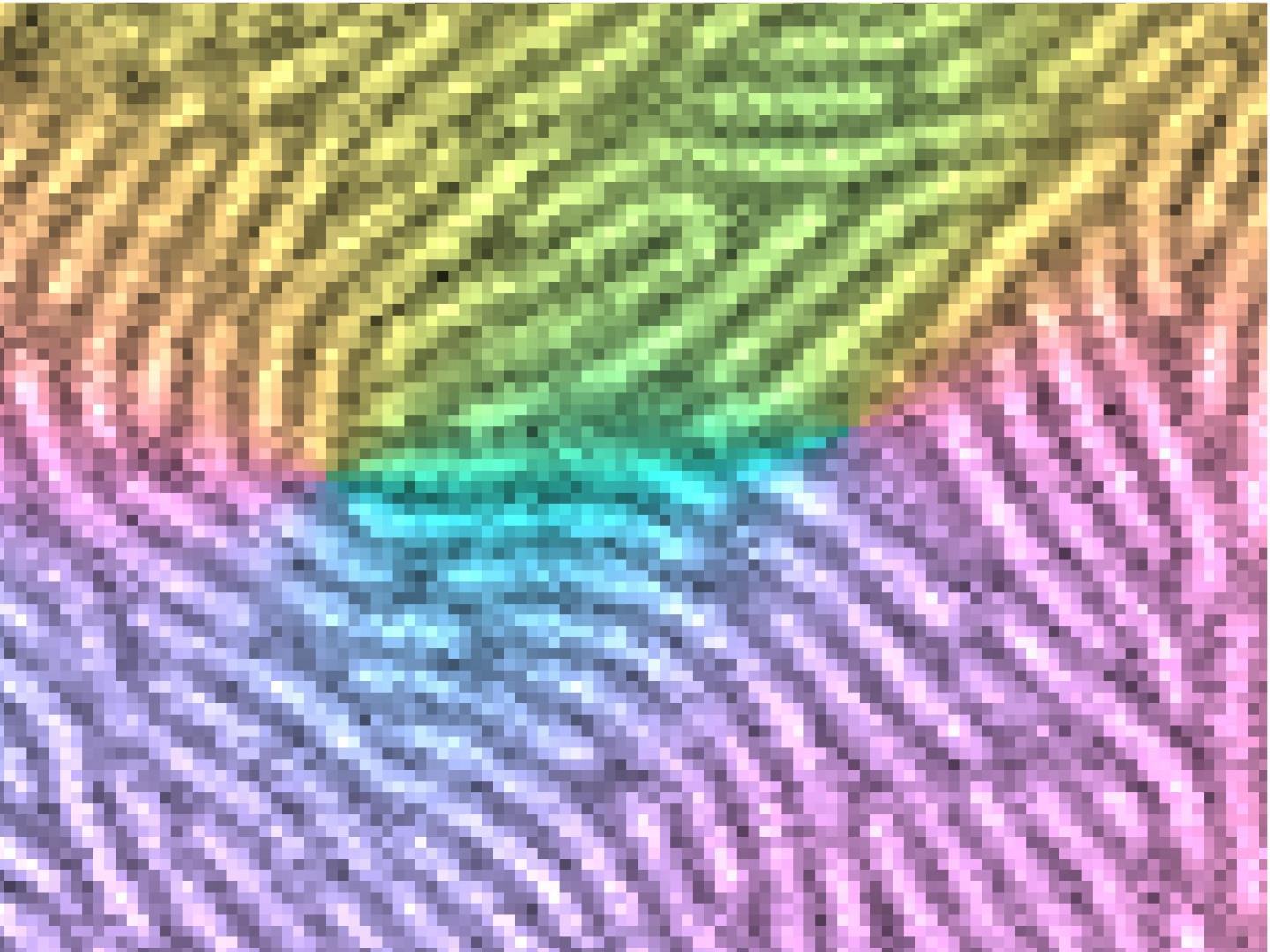 Rod-shaped bacterial cells move collectively to hunt and build shelters