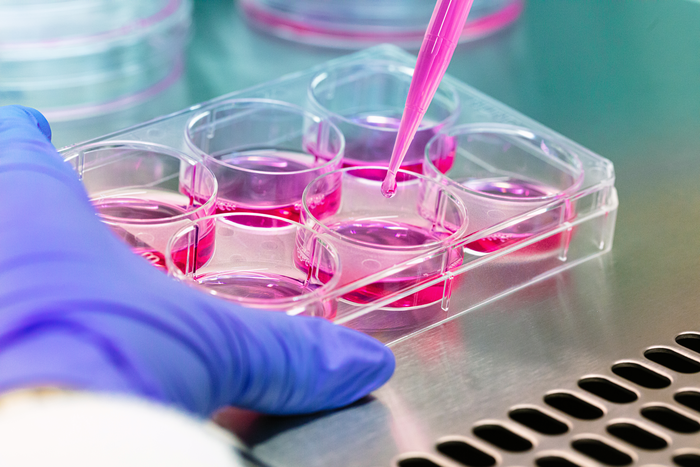 RNA: Don't kill the messenger