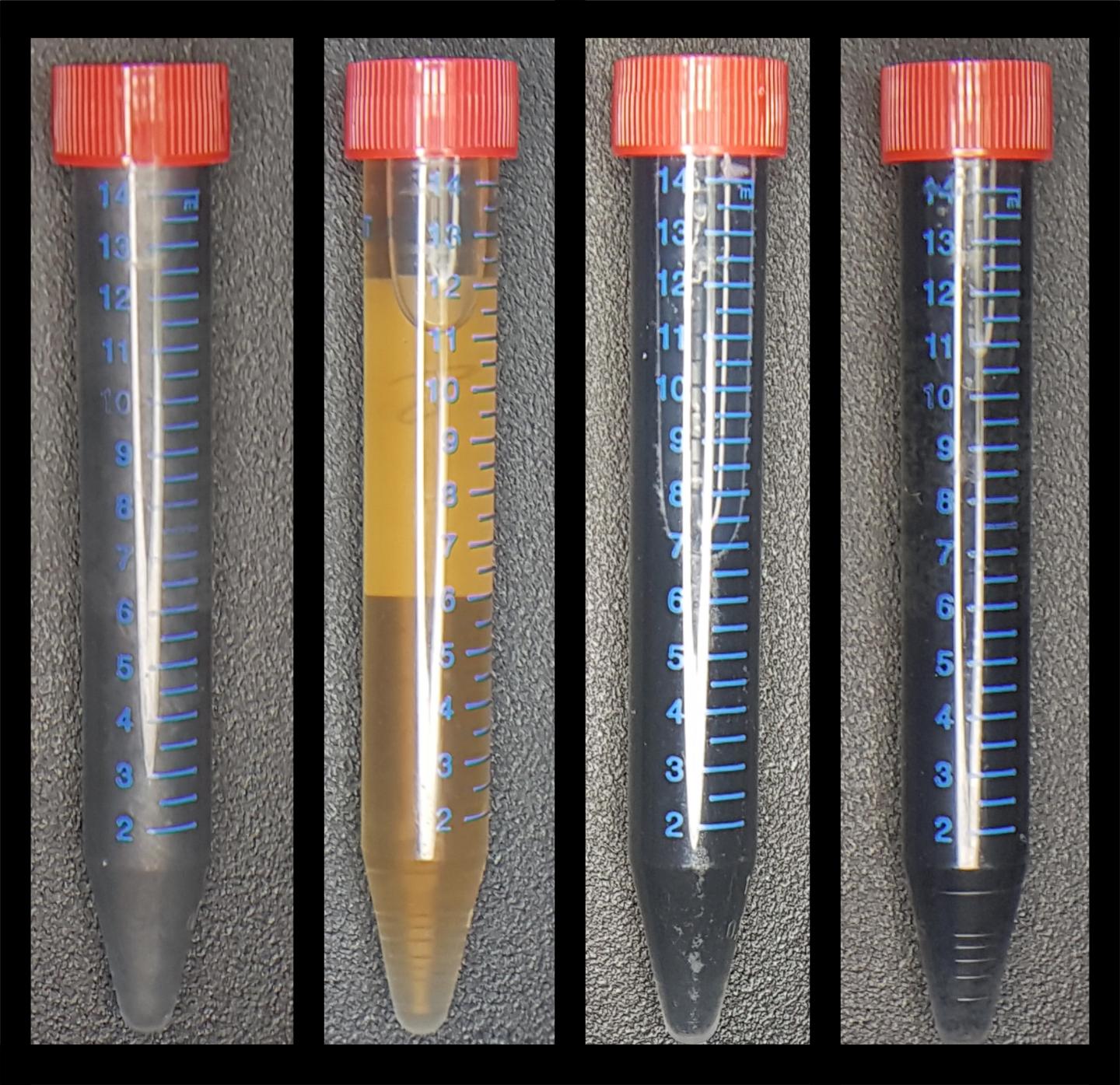 Tubes of Graphene