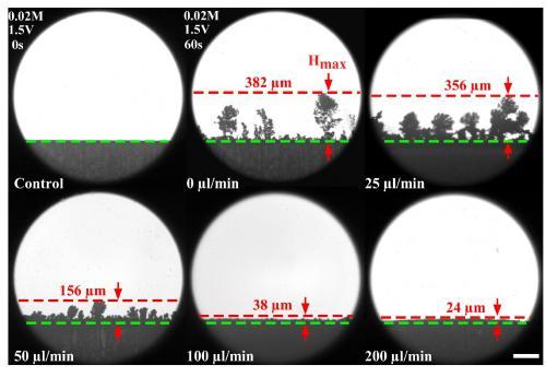 A Fluid Solution to Dendrite Growth in Lithium Metal Batteries