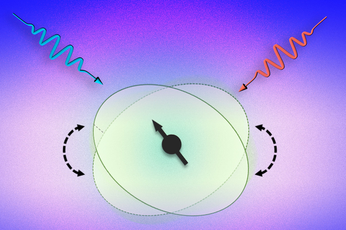 Photon Spin Coupling