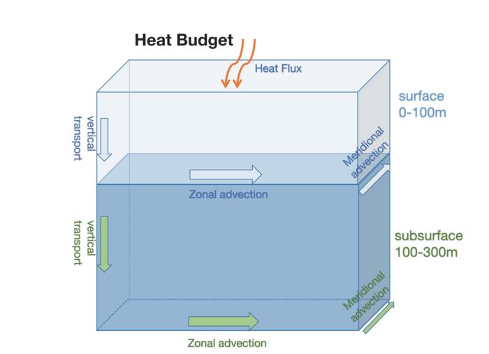 Ocean surface (0-100m) and subsurface (100-300m) heat budget in the "Blob" region (40°-50°N, 150°-130°W).