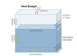 Ocean surface (0-100m) and subsurface (100-300m) heat budget in the "Blob" region (40°-50°N, 150°-130°W).