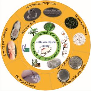 Cellulose-based suture: State of art, challenge, and future outlook