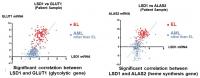 Expression of LSD1 and Metabolism-Related Genes is Positively Correlated in Patients with Acute Myeloid Leukemia (AML)
