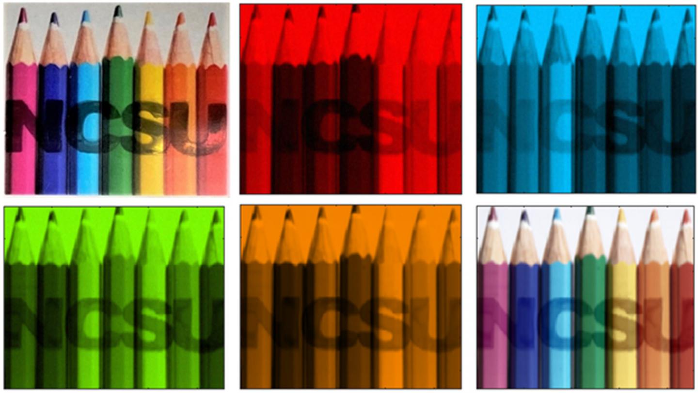 Shrimp-inspired tech makes for new breed of optical sensors