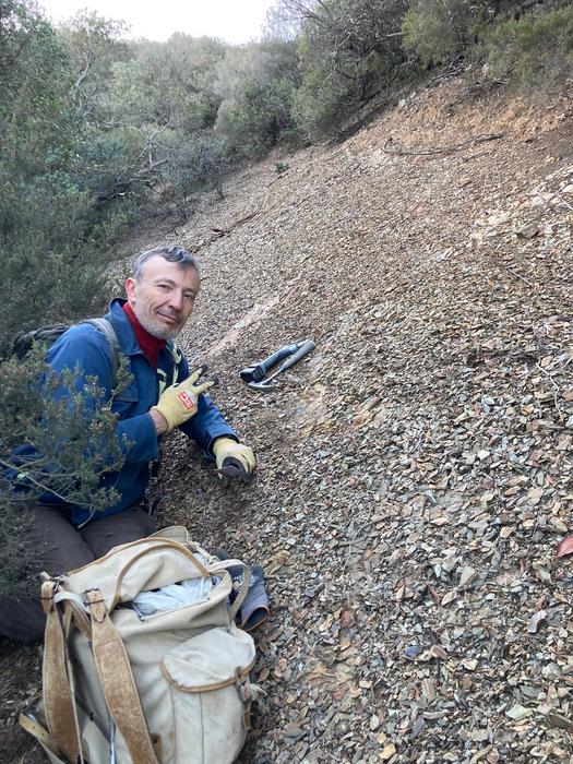 A new fossil bed has been uncovered in the French department of Hérault through the perseverance of two ardent amateur palaeontologists.