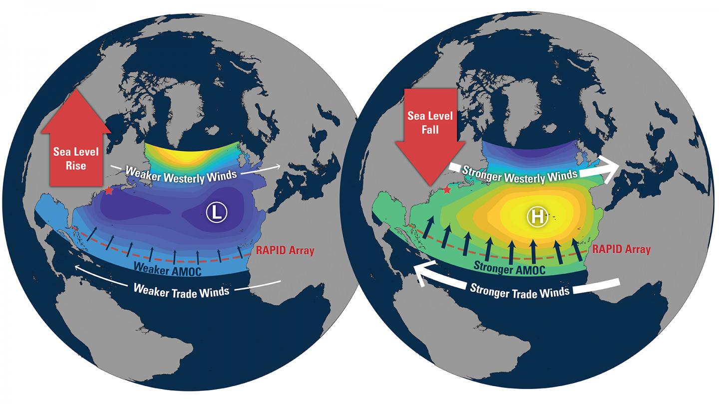 North Atlantic Oscillation drives the annual occurrence of an