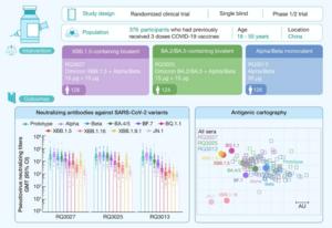 Safety, immunogenicity, and preliminary efficacy of a randomized clinical trial of omicron XBB.1.5-containing bivalent mRNA vaccine