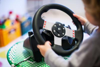 Innate Behavior Determines How We Steer Our Car