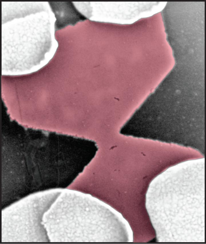 Graphene Nanoconstriction