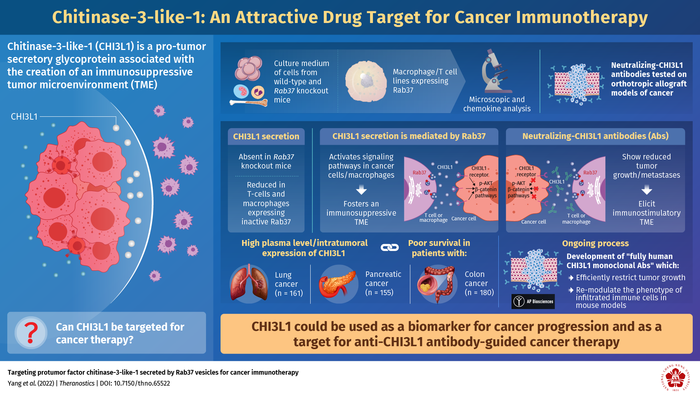 Chitinase-3-like-1 protein accelerates cancer progression by suppressing the immune response