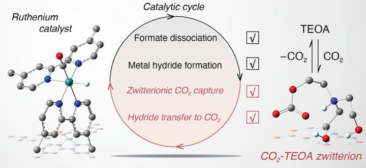 Schematic of CO2 to Formate Conversion with Ruthenium Catalyst
