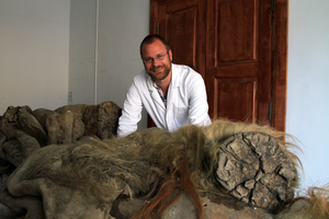 Co-author Love Dalén with the Yuka mammoth, whose genome was included in the study.
