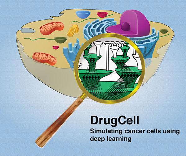 DrugCell