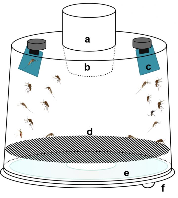 Overnight Mosquito Trap Diagram