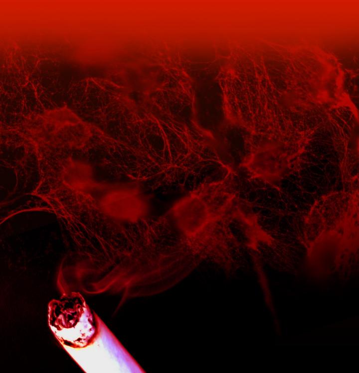Neutrophil Extracellular Traps in Cigarette Smoke