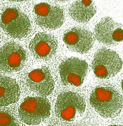 Innovative Nanoparticle Purification System Uses Magnetic Fields