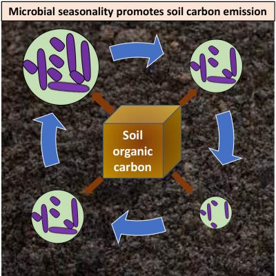 Soil microbial seasonality