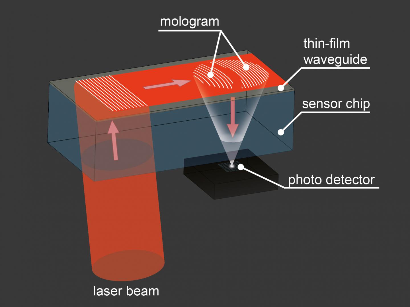 Scheme Image Eurekalert Science News Releases 