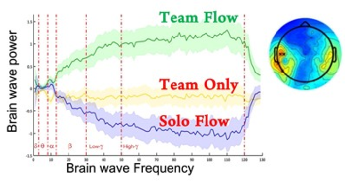 The beta and gamma brain waves in the middle temporal cortex during team flow